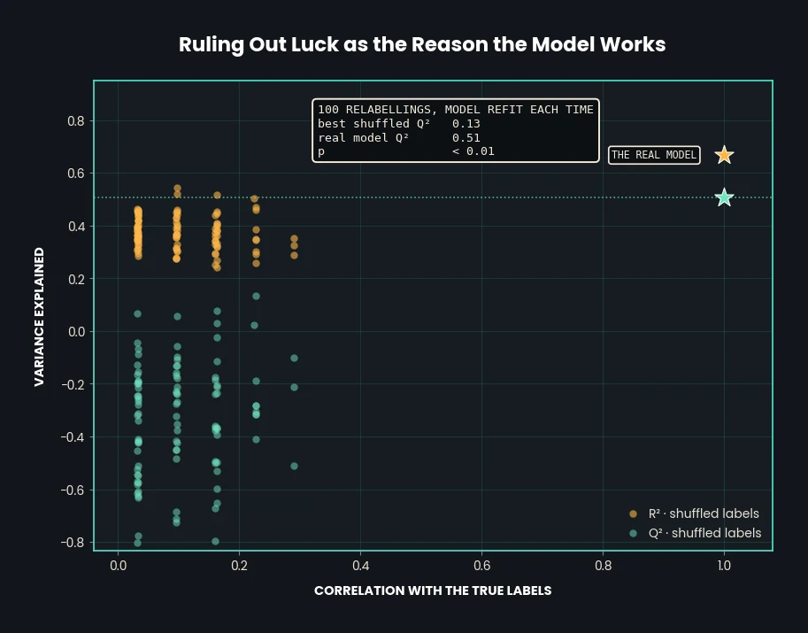 One hundred shuffled relabellings plotted by their correlation with the true labels against the variance they explain, with the real model marked by stars far to the right and above the cloud